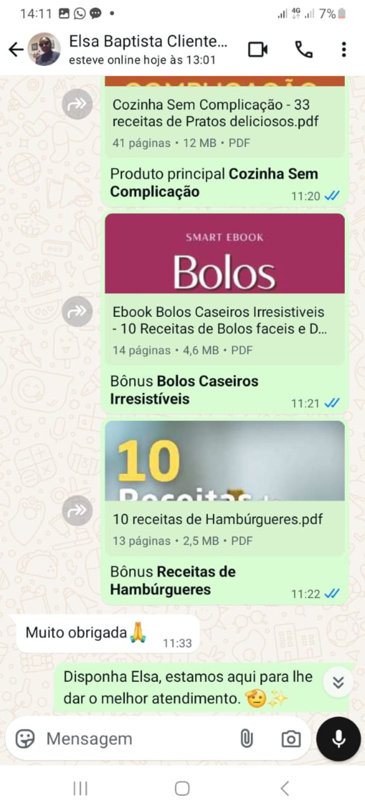 Depoimento WhatsApp - Elsa Baptista